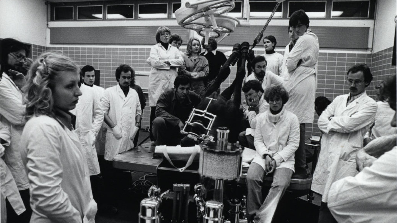 veterinaermedizin_miteinander_c00_eg000.jpg