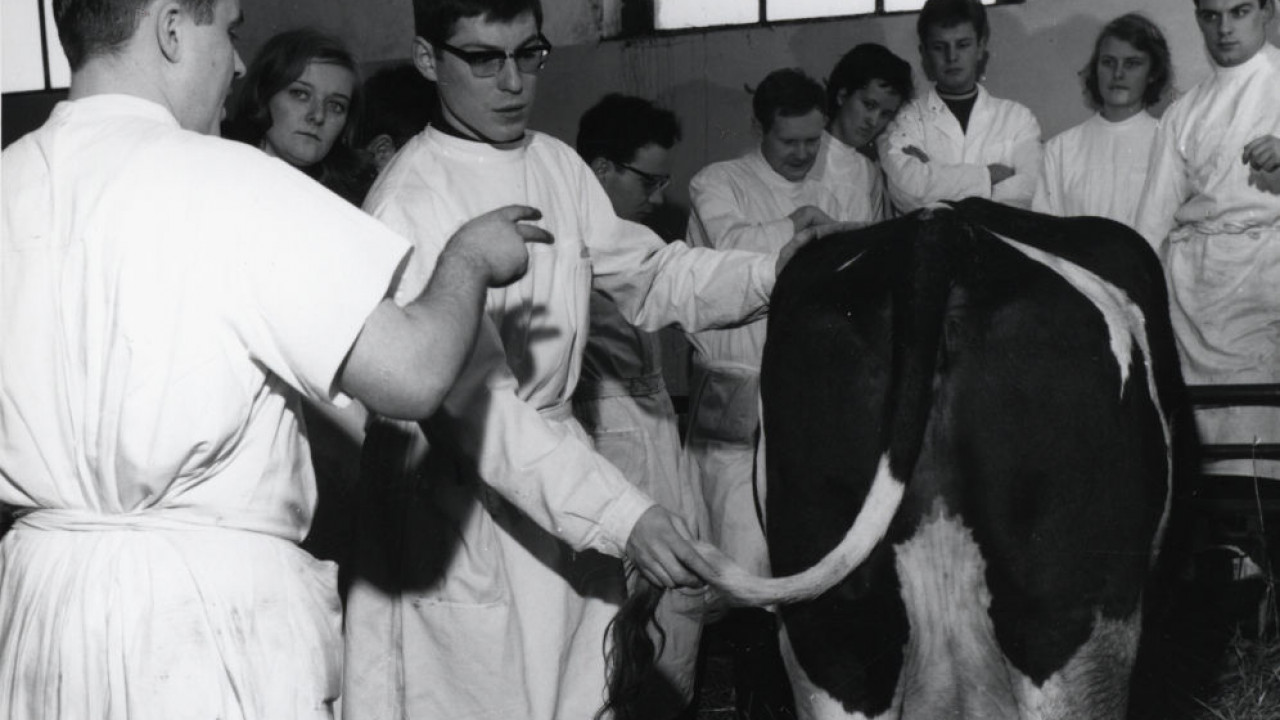 veterinaermedizin_nutztierhaltung_c00_eg000.jpg
