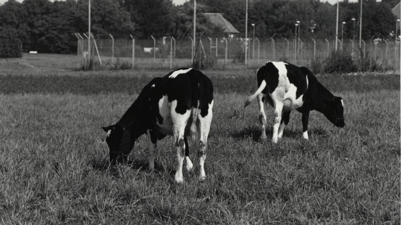veterinaermedizin_schwarzenbek_c00_eg000.jpg