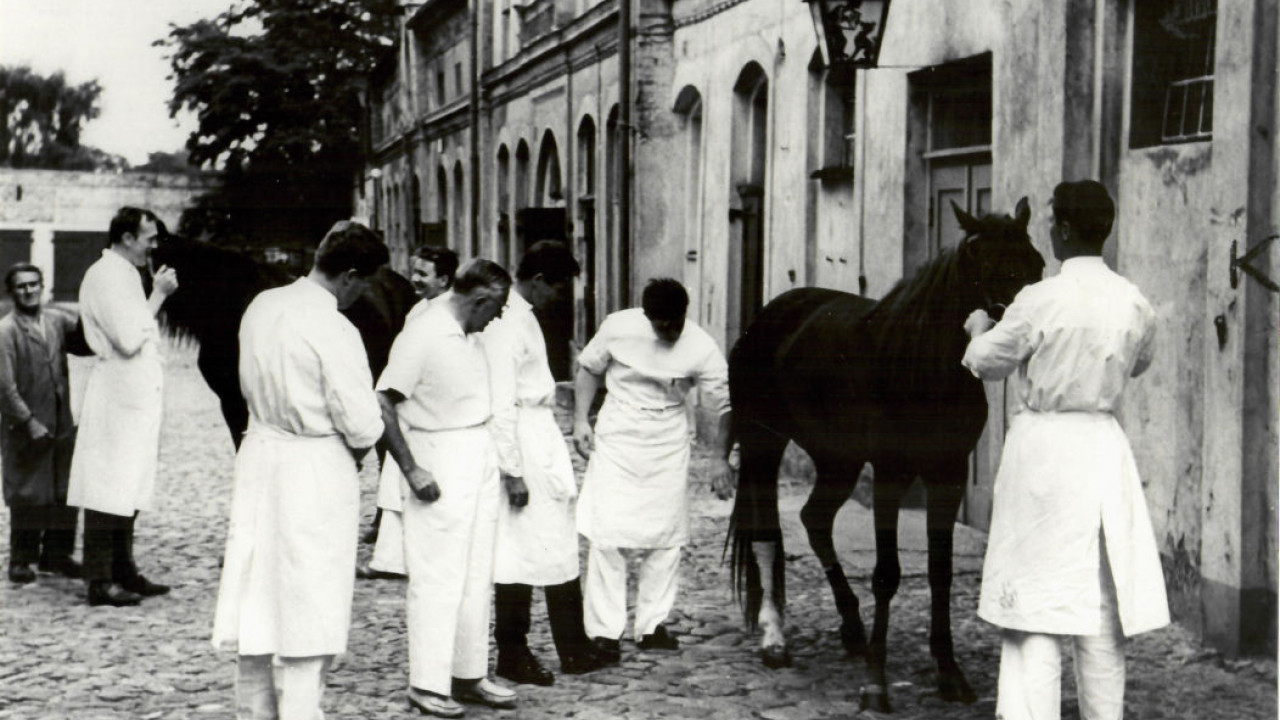 veterinaermedizin_unterbringung_c00_eg000.jpg