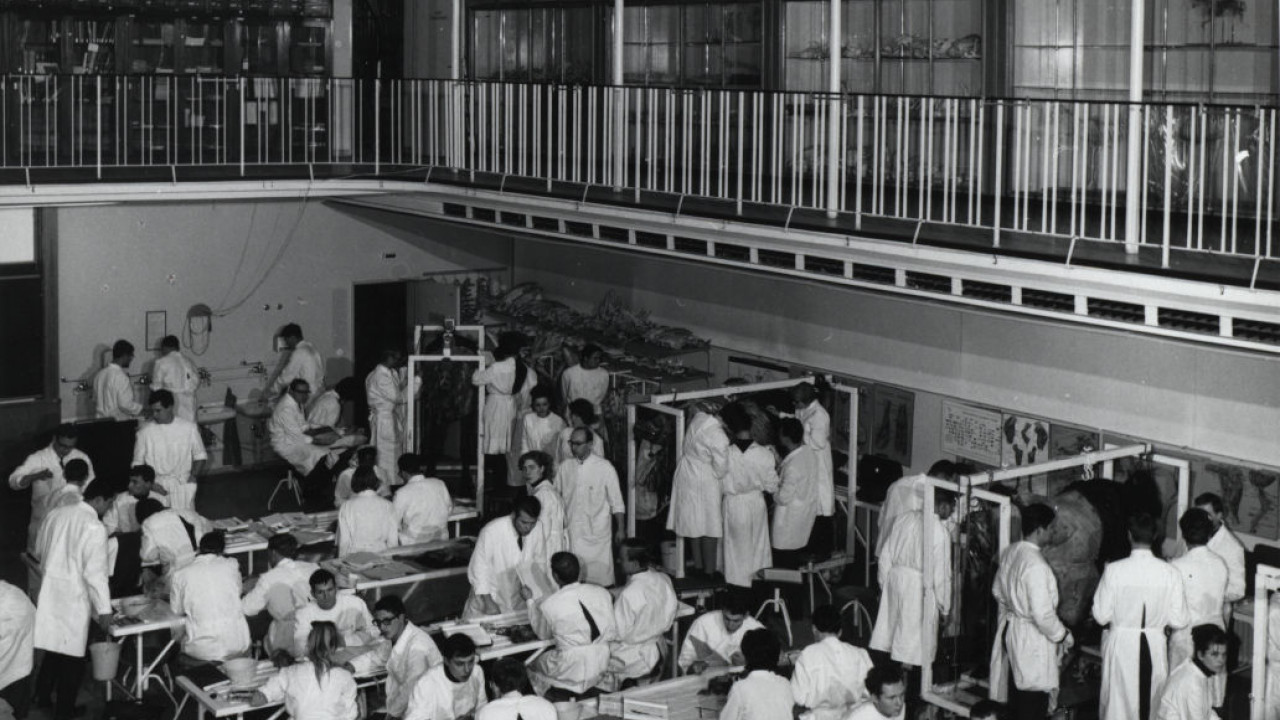 veterinaermedizin_zulassung_c00_eg000.jpg